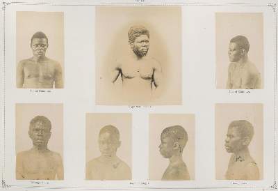 Bild Nr.2: 120-1929 Dammann,C. u. F.W.: (Photographie)