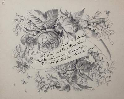 Bild Nr.1: 120-1963 Blumen.: (Varia, Botanik)