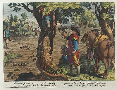 Bild Nr.1: 120-2004 Collaert, Jan Baptist II: (Varia, Jagd, Vogelfang)