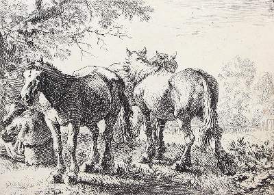 Bild Nr.1: 120-2041 Laer, Pieter van: (Varia, Pferde)