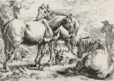 Bild Nr.2: 120-2041 Laer, Pieter van: (Varia, Pferde)