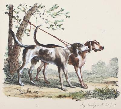 Bild Nr.1: 120-2085 Delpech, Francois-Séraphin: (Varia, Tierhaltung)