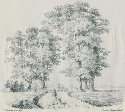 Bild Nr.1: 120-2131 Boll.: (Deutschland, Boll/Göppingen)