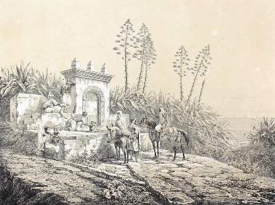 Bild Nr.1: 120-2292 Algerien.: (Ausland, Afrika)
