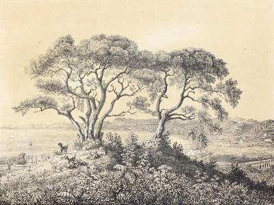 Bild Nr.3: 120-2292 Algerien.: (Ausland, Afrika)
