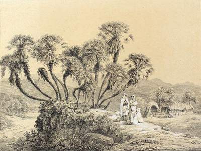 Bild Nr.4: 120-2292 Algerien.: (Ausland, Afrika)