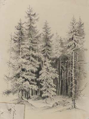 Bild Nr.2: 120-2432 Transimenische See.: (Ausland, Italien)
