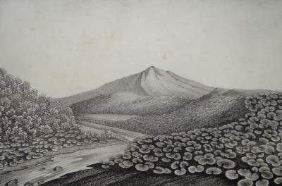 Bild Nr.2: 120-2475 Ukraine.: (Ausland, Russland)