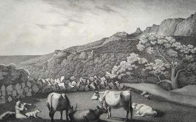 Bild Nr.5: 120-2475 Ukraine.: (Ausland, Russland)