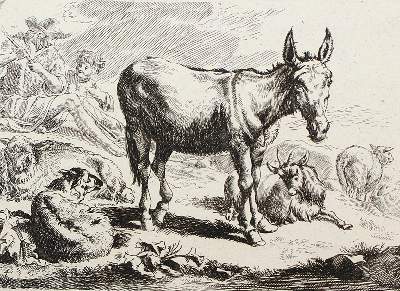 Bild Nr.6: 120-2615 Berchem, Nicolaes: (Künstlergraphik)