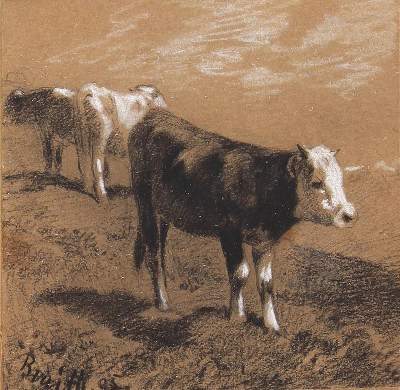 Bild Nr.1: 120-2659 Braith , Anton: (Künstlergraphik)