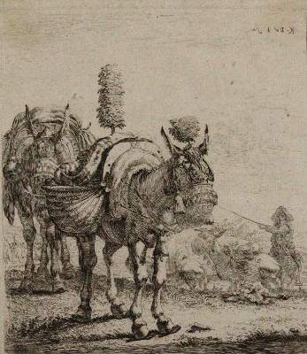Bild Nr.1: 120-2847 Dujardin, Karel: (Künstlergraphik)