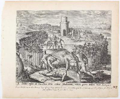 Bild Nr.4: 120-2956 Francken, Amborius I: (Künstlergraphik)