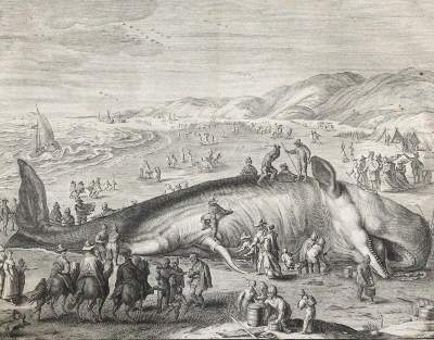 Bild Nr.1: 120-3004 Gouwen, Willem van der: (Künstlergraphik)