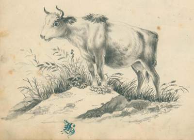 Bild Nr.1: 120-3075 Höhnel,Fridrich Romilio.: (Künstlergraphik)