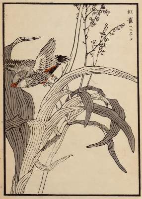 Bild Nr.1: 120-3172 Sammlung: (Künstlergraphik, Japan)