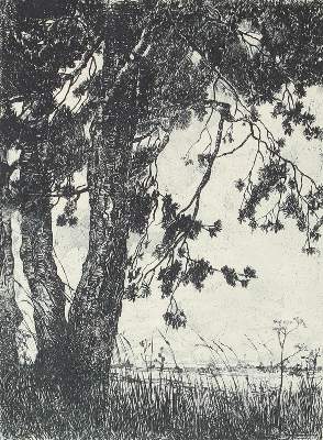 Bild Nr.1: 120-3204 Kirchbaum, W.: (Künstlergraphik)