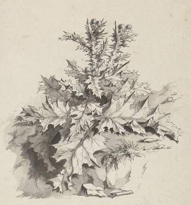 Bild Nr.1: 120-3210 Klein, Johann Adam: (Künstlergraphik)