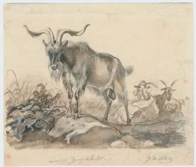 Bild Nr.1: 120-3213 Klein, Johann Adam: (Künstlergraphik)