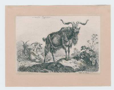 Bild Nr.2: 120-3213 Klein, Johann Adam: (Künstlergraphik)