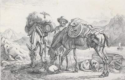 Bild Nr.1: 120-3219 Klein, Johann Adam: (Künstlergraphik)