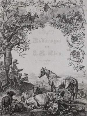 Bild Nr.1: 120-3221 Klein, Johann Adam: (Künstlergraphik)