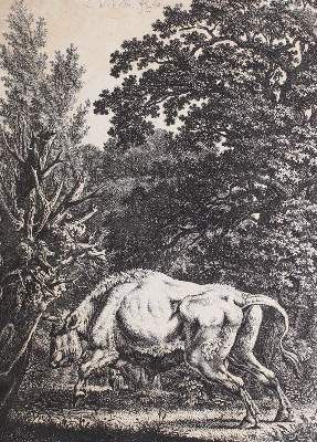 Bild Nr.1: 120-3283 Kolbe, Carl Wilhelm: (Künstlergraphik)