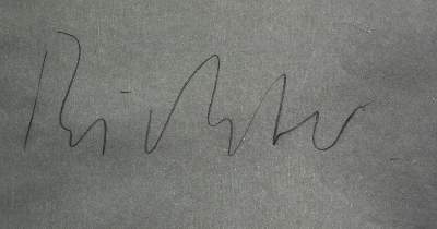Bild Nr.2: 120-3601 Richter, Gerhard: (Künstlergraphik)