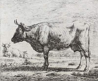 Bild Nr.2: 120-3820 Velde, Adriaen van de: (Künstlergraphik)