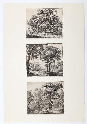 Bild Nr.2: 120-3862 Waterloo, Anthonie: (Künstlergraphik)