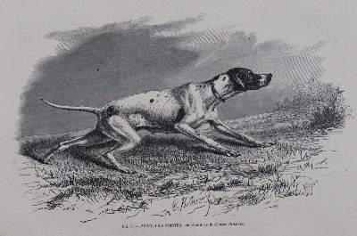 Bild Nr.1: 120-410 De la Rue,A. u.a.: (Jagd, Kynologie)