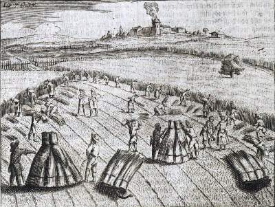 Bild Nr.1: 120-421 (Hohberg,W.H.v.: (Küche und Haushalt, Hausväter)