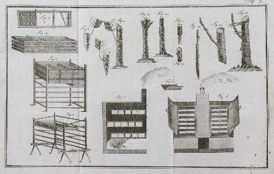 Bild Nr.1: 120-437 Christ,J.L.: (Land- und Forstwirtschaft, Landwirtschaft, Obstbau)