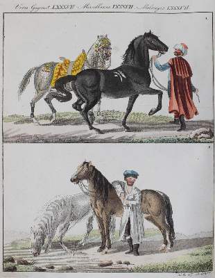 Bild Nr.3: 120-623 Bertuch,F.J.: (Kinder- und Jugendbücher)