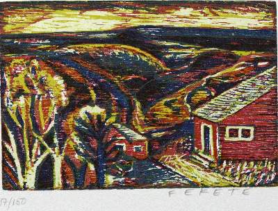 Bild Nr.1: 120-810 Schubert,G.H. u.a.: (Fekete)