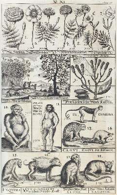 Bild Nr.1: 120-89 Francisci,E. (d.i. E.von Finx).: (Alte Drucke, Handschriften und Theologie)