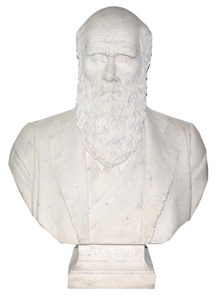 Große Abbildung Nr.1: 121-1003 Darwin, Charles.: (Verschiedene Gebiete - Varia)