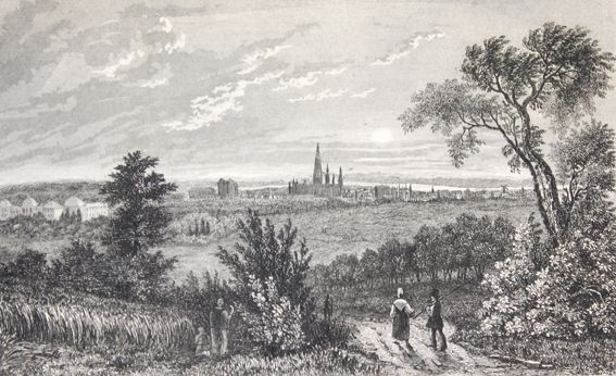 Große Abbildung Nr.1: 121-1146 Le Bas,(P.).: (Deutschland)