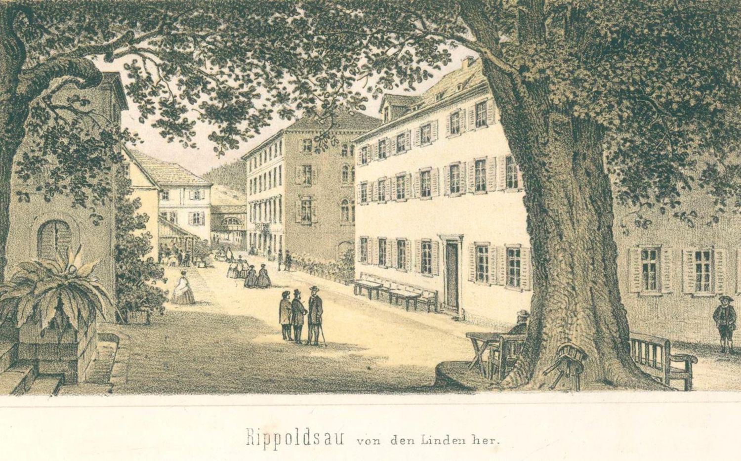 Große Abbildung Nr.2: 121-1164 Sprüngli,J.: (Deutschland, Rippoldsau, Griesbach)