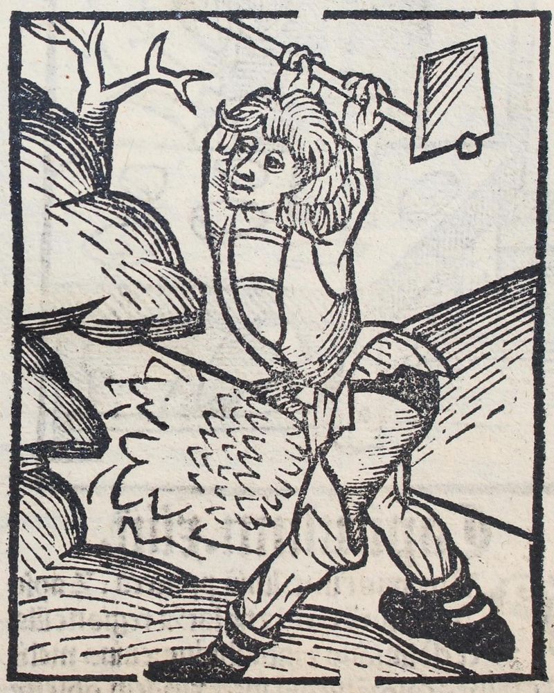 Große Abbildung Nr.2: 121-183 Hortus sanitatis.: (Alte Drucke, Handschriften und Theologie)