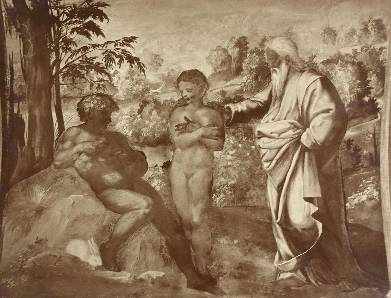 Große Abbildung Nr.2: 121-1881 Braun, Adolphe: (Photographie)