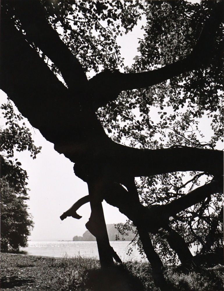 Große Abbildung Nr.2: 121-1907 Lauterwasser, Siegfried: (Photographie)