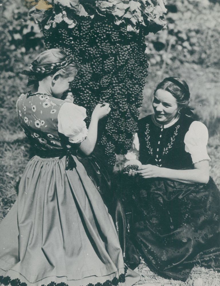 Große Abbildung Nr.1: 121-1914 Retzlaff, Hans: (Photographie)