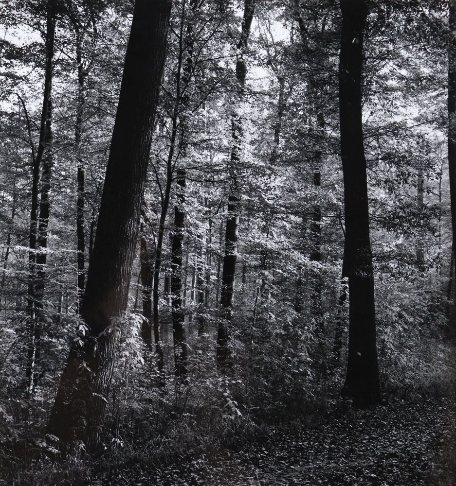 Große Abbildung Nr.1: 121-1928 Windstosser, Ludwig: (Photographie)