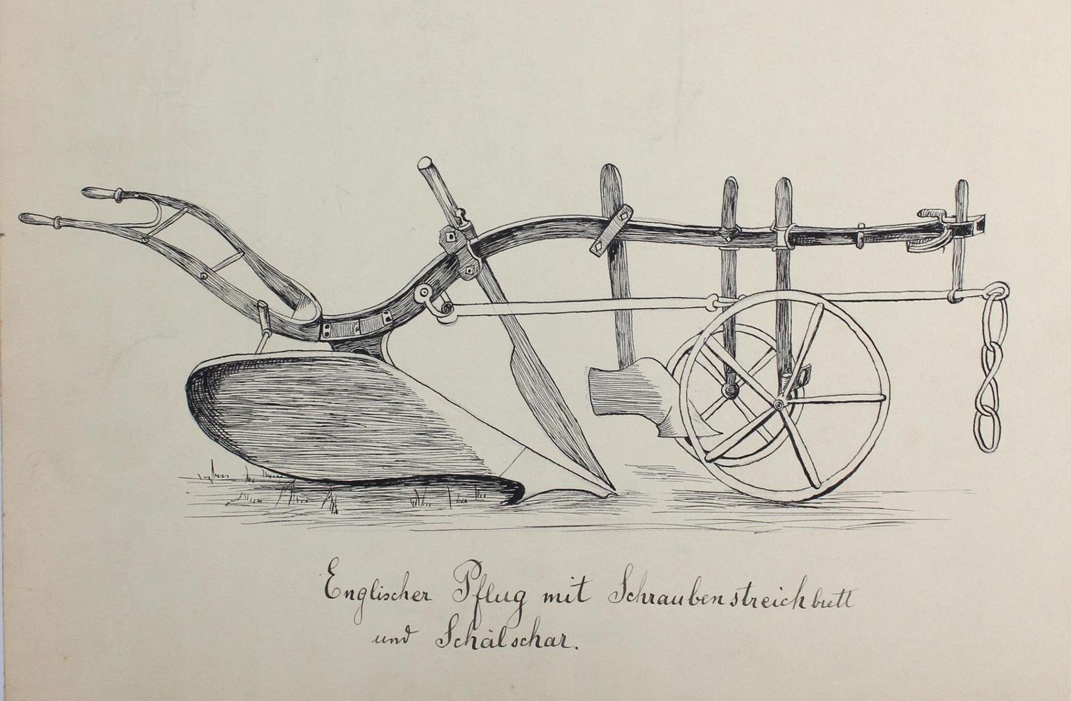 Große Abbildung Nr.2: 121-1938 Sammlung: (Varia, Botanik)
