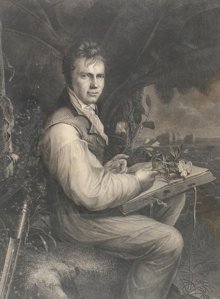 Große Abbildung Nr.1: 121-2009 Freidhoff, Johann Joseph: (Varia, Portrait, Humboldt)