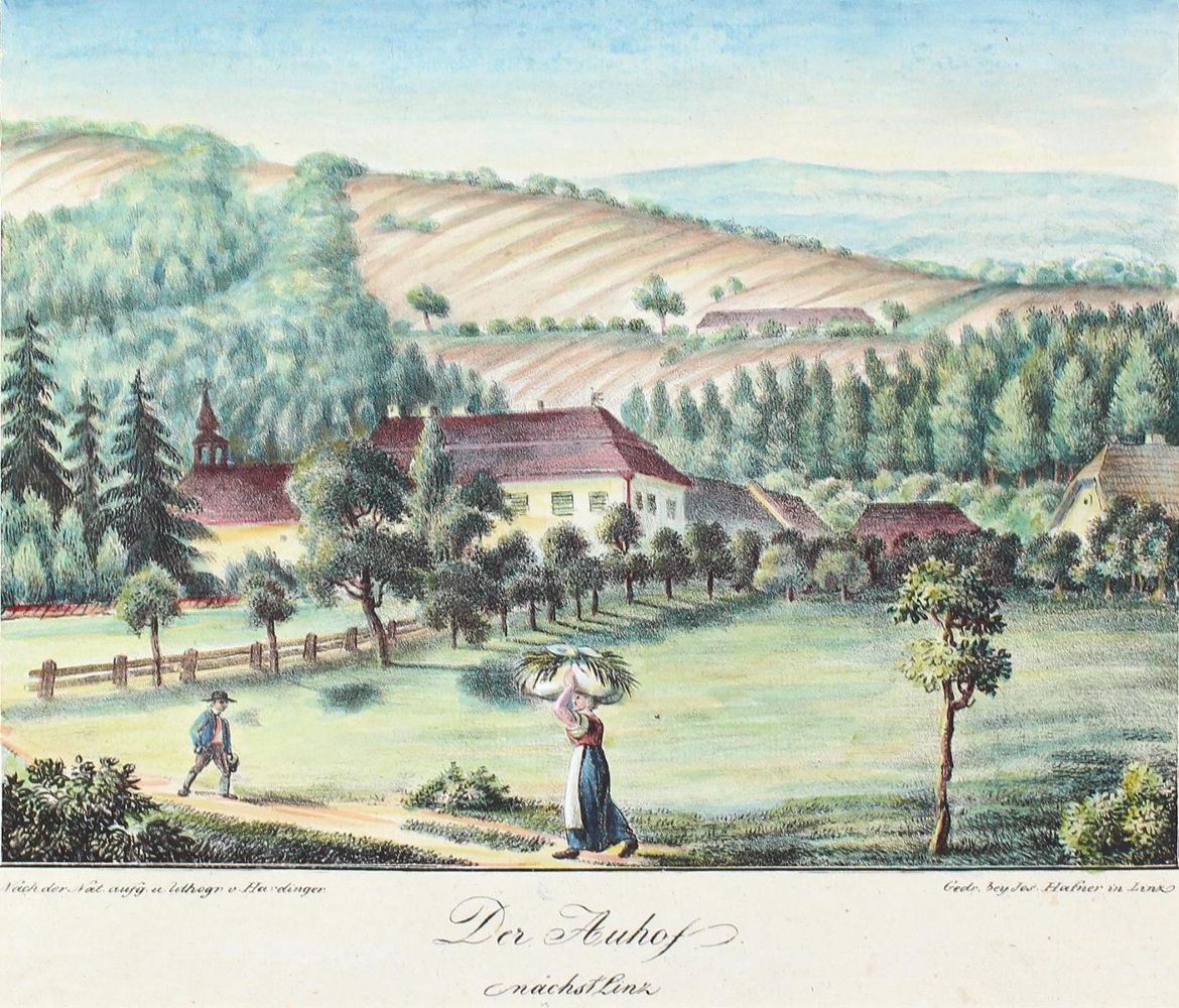 Große Abbildung Nr.1: 121-2230 Linz.: (Ausland, Österreich)