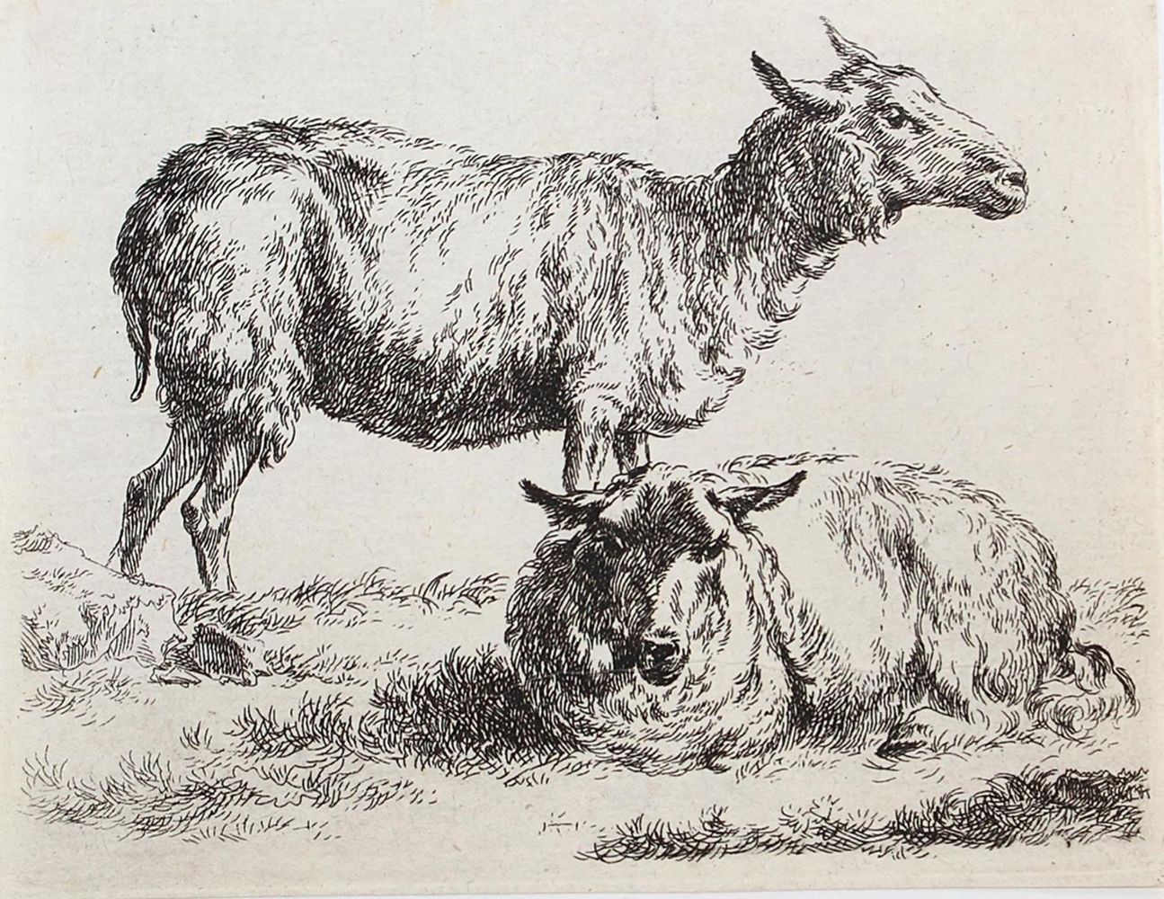 Große Abbildung Nr.2: 121-2376 Berchem, Nicolaes: (Künstlergraphik)