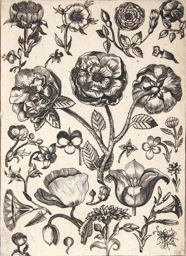 Große Abbildung Nr.2: 121-2406 Bruyn, Nicolaes de: (Künstlergraphik)