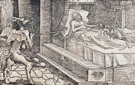 Große Abbildung Nr.1: 121-244 Petrarca,F.: (Alte Drucke, Handschriften und Theologie)